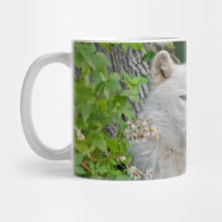 Arctic Wolf Mug